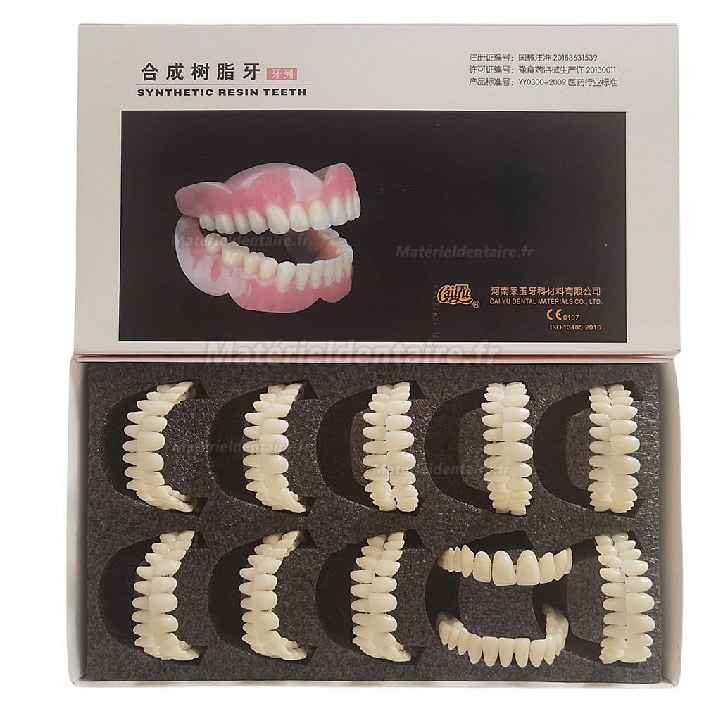 Prothèses dentaires en résine CAIYU (flexibles, bilatérales et symétriques) A1/A2/A3/A3.5/A4